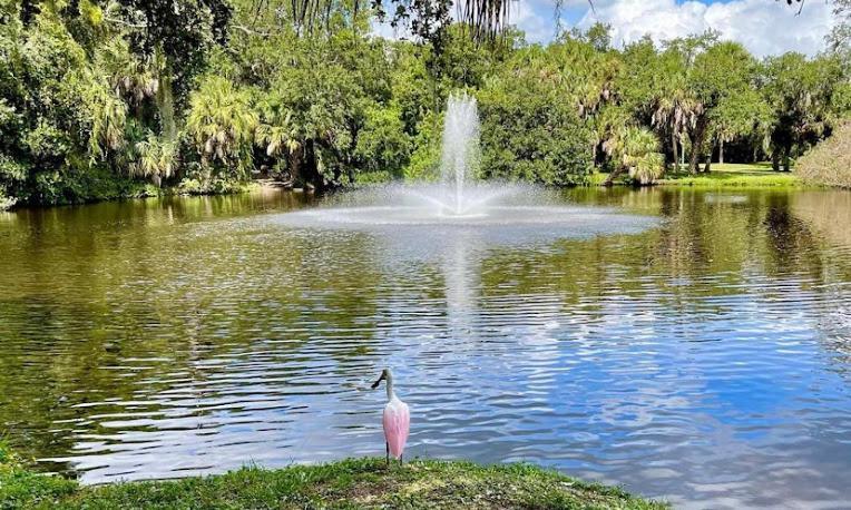 One Bed Suite Near Beaches And Downtown Sarasota Esterno foto